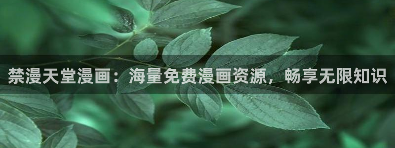 腐漫画网官网网址：禁漫天堂漫画：海量免费漫画资源，畅享无限知识