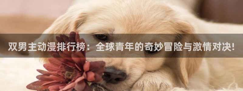 腐漫画网下载：双男主动漫排行榜：全球青年的奇妙冒险与激情对决!