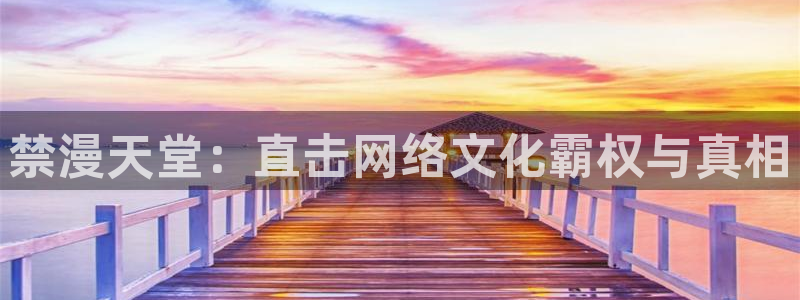age专注动漫的门户网站：禁漫天堂：直击网络文化霸权与真相