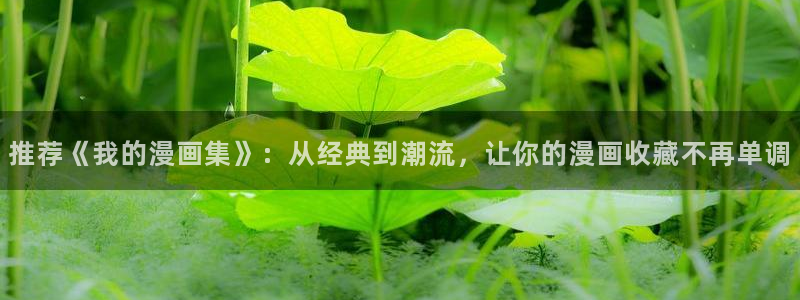 stagenehind韩漫免费观看：推荐《我的漫画集》：从经典到潮流，让你的漫画收藏不再单调