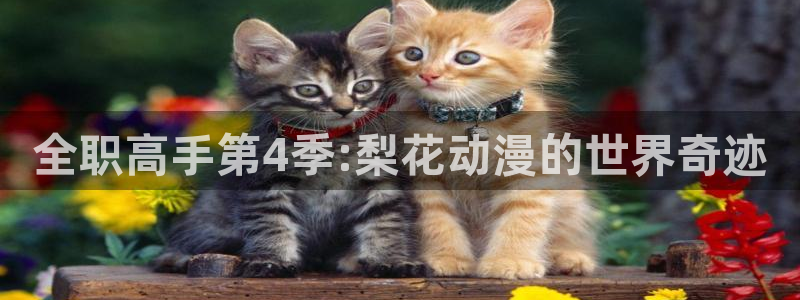 腐漫画网omofun：全职高手第4季:梨花动漫的世界奇迹