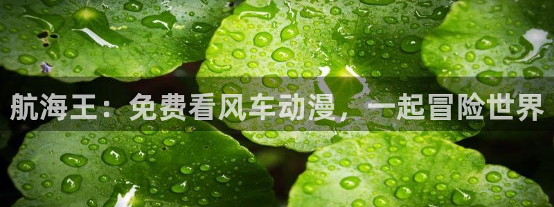 腐漫画网樱花：航海王：免费看风车动漫，一起冒险世界