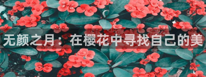 拷贝漫画 copymanager.ory网站：无颜之月：在樱花中寻找自己的美