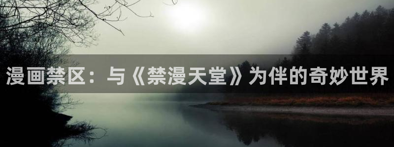 腐漫画网网：漫画禁区：与《禁漫天堂》为伴的奇妙世界