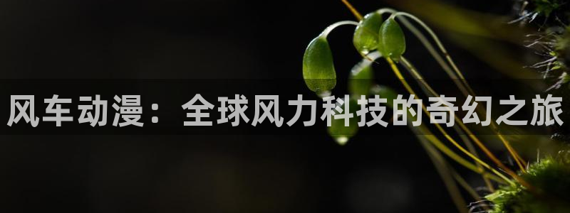 腐漫画网樱花：风车动漫：全球风力科技的奇幻之旅