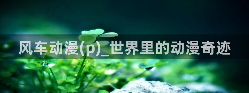 lovestage漫画免费阅读：风车动漫(p)_世界里的动漫奇迹