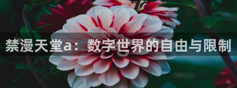 腐漫画网下载网：禁漫天堂a：数字世界的自由与限制