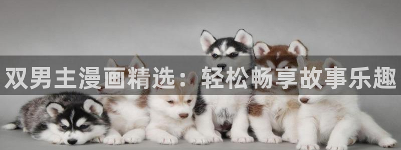腐漫画网下载：双男主漫画精选：轻松畅享故事乐趣