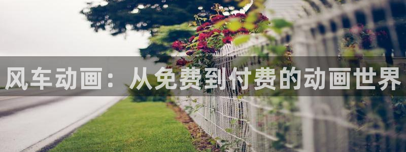 腐漫画网网：风车动画：从免费到付费的动画世界