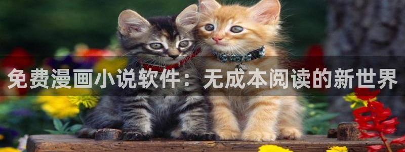 kakaopage韩漫官网：免费漫画小说软件：无成本阅读的新世界