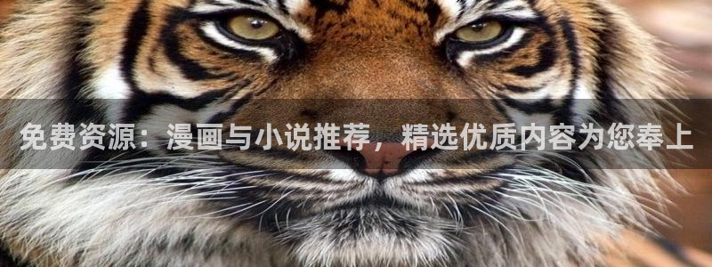 腐漫画网omofun：免费资源：漫画与小说推荐，精选优质内容为您奉上