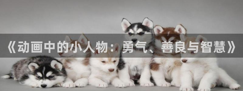 拷贝漫画 copymanager.ory网站：《动画中的小人物：勇气、善良与智慧》