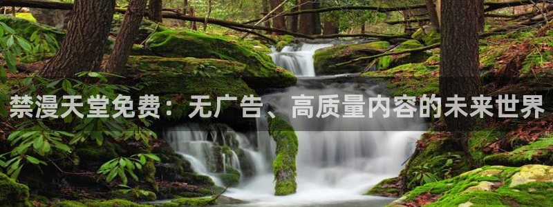 腐漫画网下载：禁漫天堂免费：无广告、高质量内容的未来世界