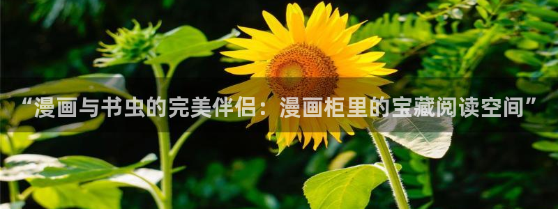 腐漫画网樱花：“漫画与书虫的完美伴侣：漫画柜里的宝藏阅读空间”