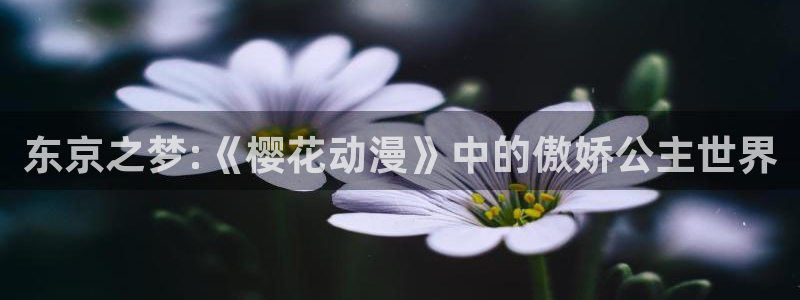 腐漫画网网官网入口：东京之梦:《樱花动漫》中的傲娇公主世界