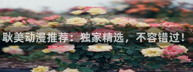 韩国漫画平台kakaopage：耿美动漫推荐：独家精选，不容错过！