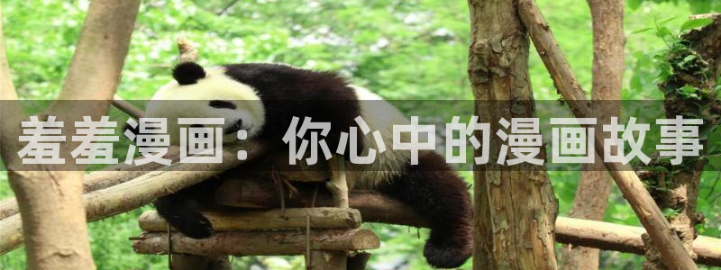 腐漫画网网上看：羞羞漫画：你心中的漫画故事