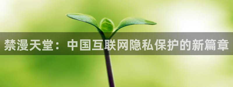 backstage韩漫免费观看：禁漫天堂：中国互联网隐私保护的新篇章