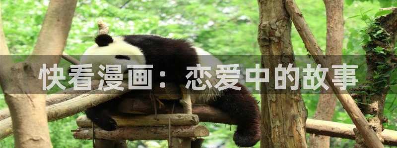 腐漫画网下载入口：快看漫画：恋爱中的故事