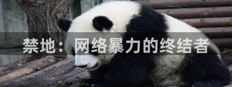 kakaopage韩漫官网：禁地：网络暴力的终结者
