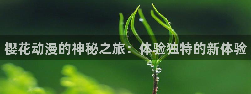 colamanage漫画官网：樱花动漫的神秘之旅：体验独特的新体验