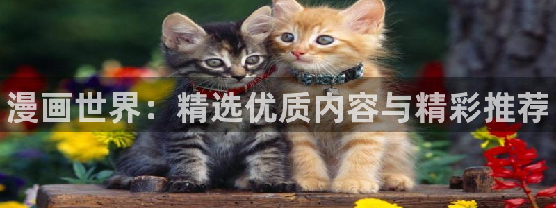 拷贝漫画 copymanager.ory网站：漫画世界：精选优质内容与精彩推荐